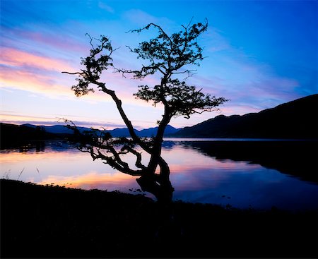 simsearch:832-03358884,k - Kylemore Lake, Connemara, Co. Galway, Irland Stockbilder - Lizenzpflichtiges, Bildnummer: 832-02253286