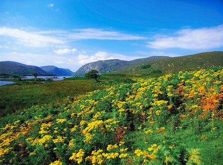 Co Donegal, Lough Veagh in Richtung Burg, Glenveagh Nationalpark Stockbilder - Lizenzpflichtiges, Bildnummer: 832-02253364