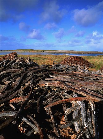 fanad head - Traditional Farming, Drying Seaweed At Fanad Head, Donegal Foto de stock - Con derechos protegidos, Código: 832-02253443