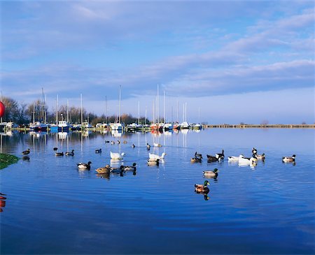 floating dock - Co Antrim, Lough Neagh, Kinnego Marina Stock Photo - Rights-Managed, Code: 832-02253533