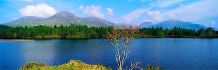 environment panoramic - Co Galway, Ballinahinch, Connemara Stock Photo - Rights-Managed, Code: 832-02253699