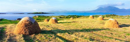 Co Galway, Renvyle, Traditional Haymaking Foto de stock - Con derechos protegidos, Código: 832-02253793