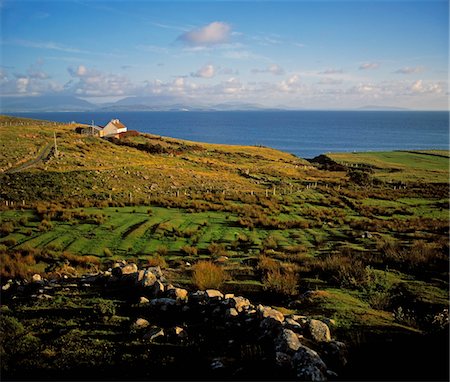 potato field - Corraun Peninsula, County Mayo, Ireland Stock Photo - Rights-Managed, Code: 832-03232173