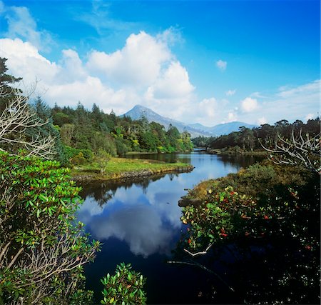 simsearch:832-03232240,k - River passing through a forest, Connemara, County Galway, Republic Of Ireland Photographie de stock - Rights-Managed, Code: 832-03232210