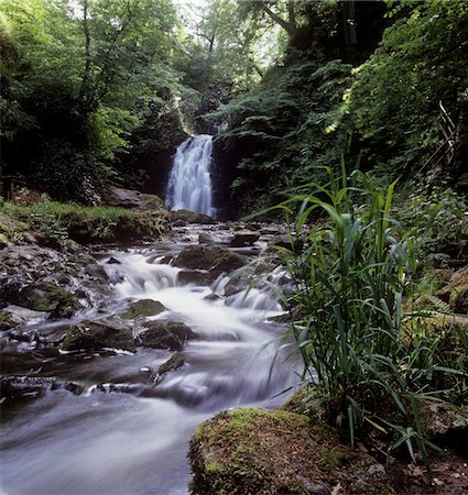 simsearch:400-05387259,k - Waterfall in a forest, Glenoe Waterfall, Glenoe, County Antrim, Northern Ireland Stock Photo - Rights-Managed, Code: 832-03232243