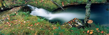 simsearch:832-03232311,k - High angle view of a river in a forest, Republic Of Ireland Stock Photo - Rights-Managed, Code: 832-03232327