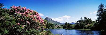 simsearch:832-03232311,k - Castle at a lakeside, Ballynahinch Castle Hotel, Connemara, County Galway, Republic Of Ireland Stock Photo - Rights-Managed, Code: 832-03232337