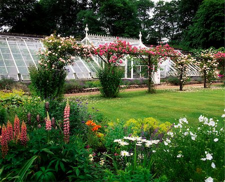 Coolcarrigan, Co Kildare, Ireland; Glasshouse; Rose Pergola and Herbaceous Border Fotografie stock - Rights-Managed, Codice: 832-03232521
