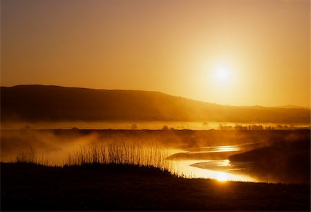 simsearch:832-03358884,k - Nebel in der Nähe von Bunratty Castle, Co. Clare, Irland. Stockbilder - Lizenzpflichtiges, Bildnummer: 832-03232530