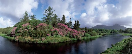 Ballynahinch, Connemara, co. Galway, Irlande. Photographie de stock - Rights-Managed, Code: 832-03232649