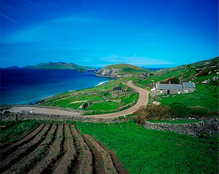 dirt farm road - Co Kerry, Slea Head, View of the Blasket Islands Stock Photo - Rights-Managed, Code: 832-03232744