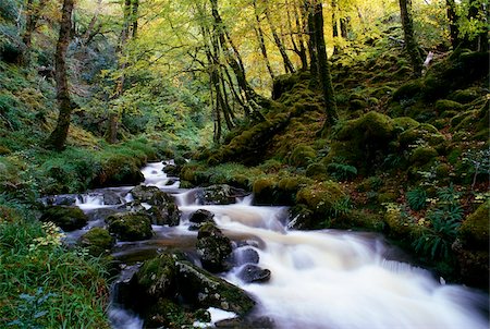 Glenveagh National Park, County Donegal, Irland; Herbst-Wald und stream Stockbilder - Lizenzpflichtiges, Bildnummer: 832-03232876