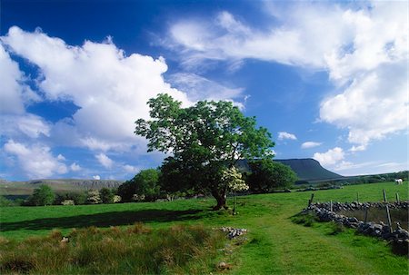 Benbulben, County Sligo, Irland; Felsformation in landschaftlich Stockbilder - Lizenzpflichtiges, Bildnummer: 832-03232920