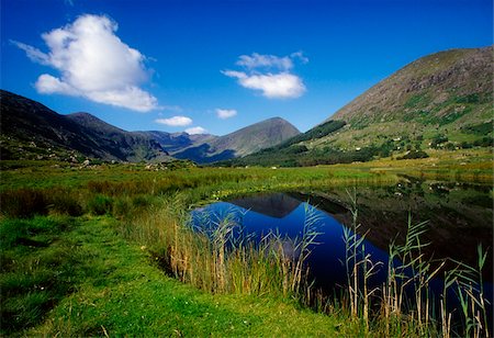 simsearch:832-02254964,k - Gearhameen Fluss in Black Valley, Killarney Nationalpark, County Kerry, Irland; Flussufer Stockbilder - Lizenzpflichtiges, Bildnummer: 832-03233036