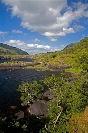 Upper lake, Killarney National Park, County Kerry, Ireland; Park and lake scenic Foto de stock - Con derechos protegidos, Código: 832-03233165