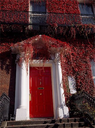 simsearch:832-03233290,k - St. Stephen's Green, Dublin City, Irland; Haus im georgianischen Stil und Tür in rot Efeu bedeckt Stockbilder - Lizenzpflichtiges, Bildnummer: 832-03233308