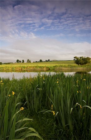 funeral - Newgrange, River Boyne, County Meath, Ireland; Burial mount in distance with river irises in the foreground Stock Photo - Rights-Managed, Code: 832-03233423