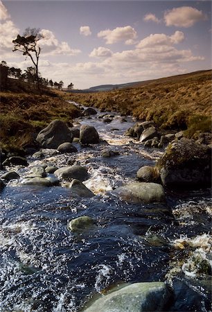 river scenes in ireland - La rivière Liffey, Co Wicklow, Irlande ; Rivière qui coule à travers un paysage Photographie de stock - Rights-Managed, Code: 832-03233539