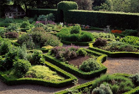 formal gardens - Ballymaloe Cookery School, Co Cork, Ireland;  Herb garden of a cookery school Stock Photo - Rights-Managed, Code: 832-03233582