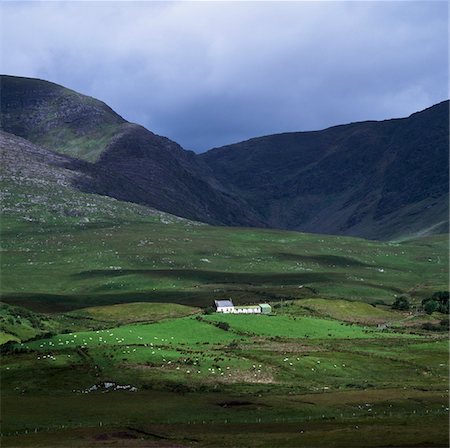 Near Sneem,Ring of Kerry,Co Kerry,Ireland;Farmhouse surrounded by mountains and fields Stock Photo - Rights-Managed, Code: 832-03233606