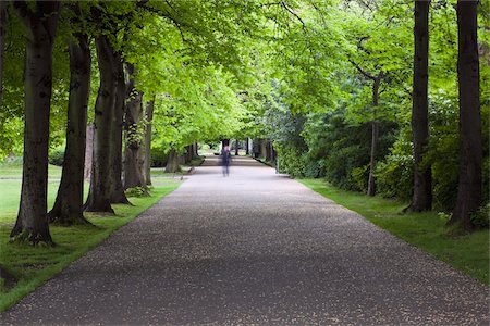 park avenue - Allee der Bäume, Park St. Stephen's Green, Dublin City, County Dublin, Irland Stockbilder - Lizenzpflichtiges, Bildnummer: 832-03233784