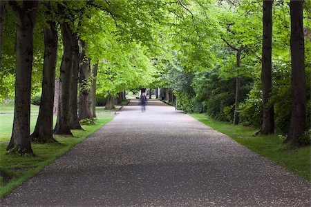 Avenue of trees, St. Stephen's Green, Dublin City, County Dublin, Ireland Foto de stock - Con derechos protegidos, Código: 832-03233784