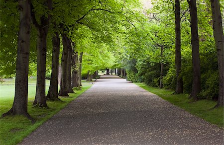 empty street - Avenue bordée d'arbres, Green, Dublin City, comté de Dublin, Irlande de St. Stephen Photographie de stock - Rights-Managed, Code: 832-03233783