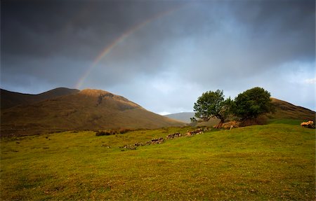 simsearch:832-03640682,k - Rainbow over the border of County Galway and County Mayo, Ireland Foto de stock - Con derechos protegidos, Código: 832-03233804