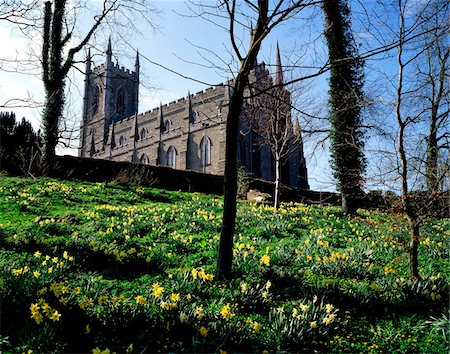 Low angle view of a cathedral, Down Cathedral, Downpatrick, County Down, Northern Ireland Stock Photo - Rights-Managed, Code: 832-03358585