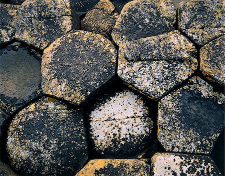 Close-up of basaltic rocks, Giant's Causeway, County Antrim, Northern Ireland Foto de stock - Con derechos protegidos, Código: 832-03358582