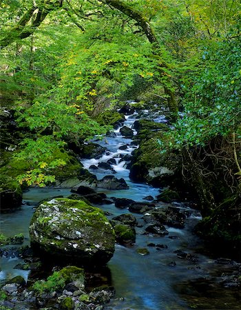 simsearch:832-03232135,k - Stream flowing through a forest, Glengarriff, County Cork, Republic Of Ireland Stock Photo - Rights-Managed, Code: 832-03358600