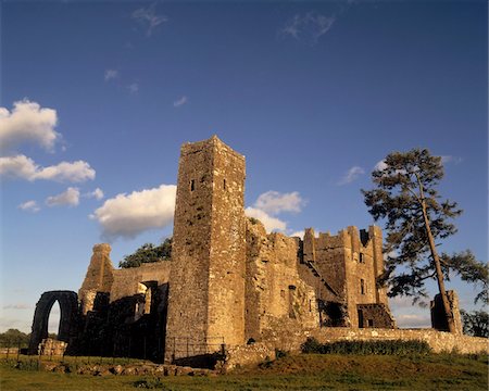 Bective Abbey, Co Meath, Ireland Foto de stock - Direito Controlado, Número: 832-03358627