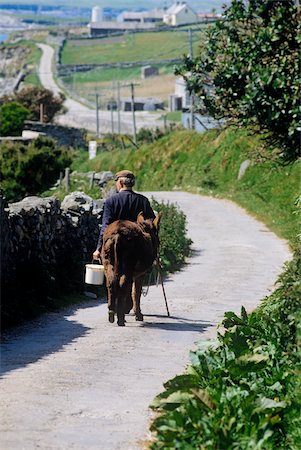 Rückansicht eines Bauern gehen mit einem Esel unterwegs, Inishbofin, County Galway, Irland Stockbilder - Lizenzpflichtiges, Bildnummer: 832-03358682