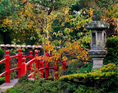 Red Bridge & Japanese Lantern, Autumn, Japanese Gardens, Co Kildare, Ireland Foto de stock - Con derechos protegidos, Código: 832-03358759