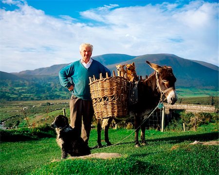 ring of kerry - Traditional Farmer with Donkey, Glenbeigh,Co Kerry, Ireland Foto de stock - Con derechos protegidos, Código: 832-03358894