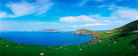 slea head - Co Kerry, Dingle Peninsula, Slea Head & Blasket Islands Foto de stock - Con derechos protegidos, Código: 832-03358906