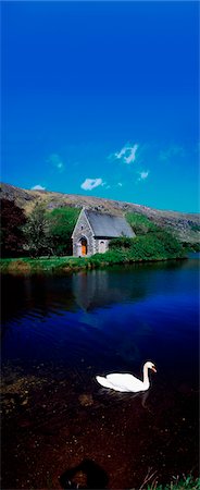 simsearch:832-03232563,k - Gougane Barra, Co Cork, Ireland. Fotografie stock - Rights-Managed, Codice: 832-03358968