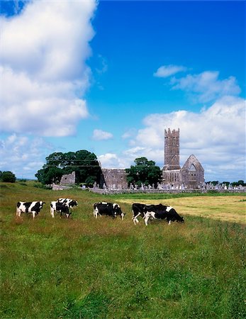 13th C. Franciscan Abbey, Claregalway, Co Galway, Ireland Stock Photo - Rights-Managed, Code: 832-03359105