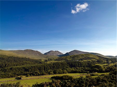 simsearch:832-03639599,k - Erhöhte Ansicht einer Bäume auf einem rollenden Landschaft, die Mountains of Mourne, County Down, Nordirland Stockbilder - Lizenzpflichtiges, Bildnummer: 832-03639283