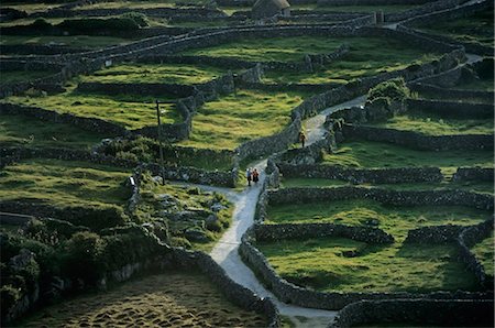 separate paths - High Angle View Of Three People In A Farm, Inisheer, Aran Islands, Galway, County Clare, Republic Of Ireland Stock Photo - Rights-Managed, Code: 832-03639317