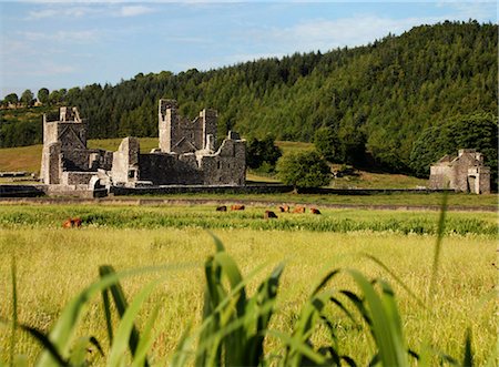 simsearch:832-02253438,k - Fore Abbey, Co. Westmeath, Ireland Stock Photo - Rights-Managed, Code: 832-03639347