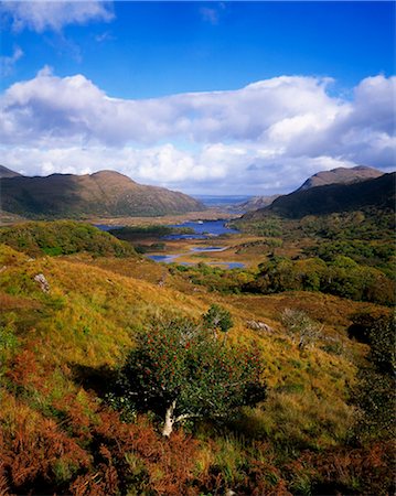 Ladies' View, Killarney, Co Kerry, Ireland Fotografie stock - Rights-Managed, Codice: 832-03639389