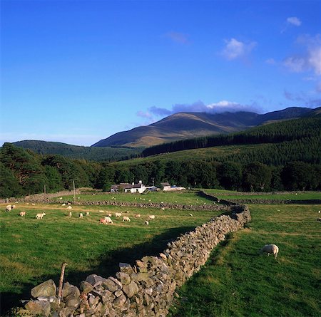 Luke's Mountain, Mountains Of Mourne, Co Down, Ireland Stock Photo - Rights-Managed, Code: 832-03639425