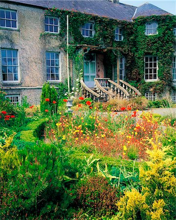 Altamont Garten, Co. Carlow, Irland; Mohn und Nachtkerzenöl im Sommer Stockbilder - Lizenzpflichtiges, Bildnummer: 832-03639465
