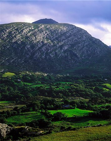 Co Cork, Ireland; Landscape Near Glengarriff Stock Photo - Rights-Managed, Code: 832-03639524