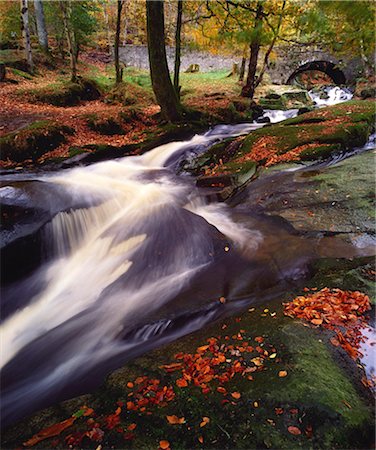 simsearch:700-03084024,k - Sally Gap, County Wicklow, Ireland; Creek In Woods In Autumn Stock Photo - Rights-Managed, Code: 832-03639682