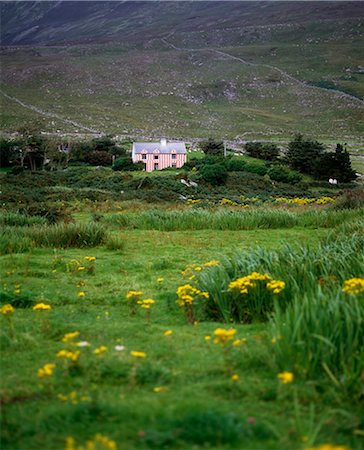 Maison de campagne, port de Coonanna, près de Caherciveen, Co Kerry, Irlande Photographie de stock - Rights-Managed, Code: 832-03639994