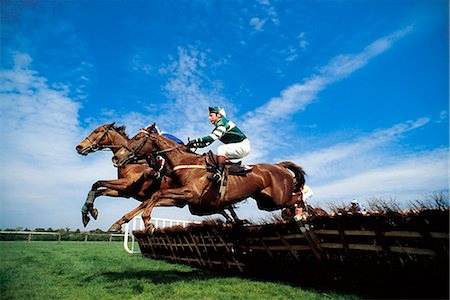 Course de chasse national ; Sauter par-dessus les clôtures lors d'une course de chevaux Photographie de stock - Rights-Managed, Code: 832-03640043