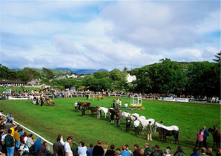 simsearch:700-03485159,k - Clifden Pony Show, Co Galway, Irlande Photographie de stock - Rights-Managed, Code: 832-03640074