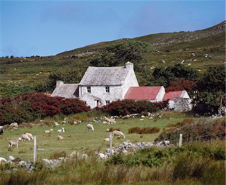 Cottage, Ireland Foto de stock - Con derechos protegidos, Código: 832-03640099